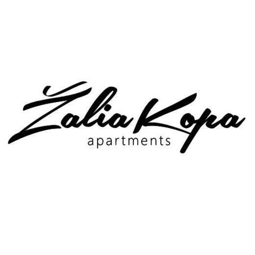 Zalia Kopa Apartments Palanga Buitenkant foto