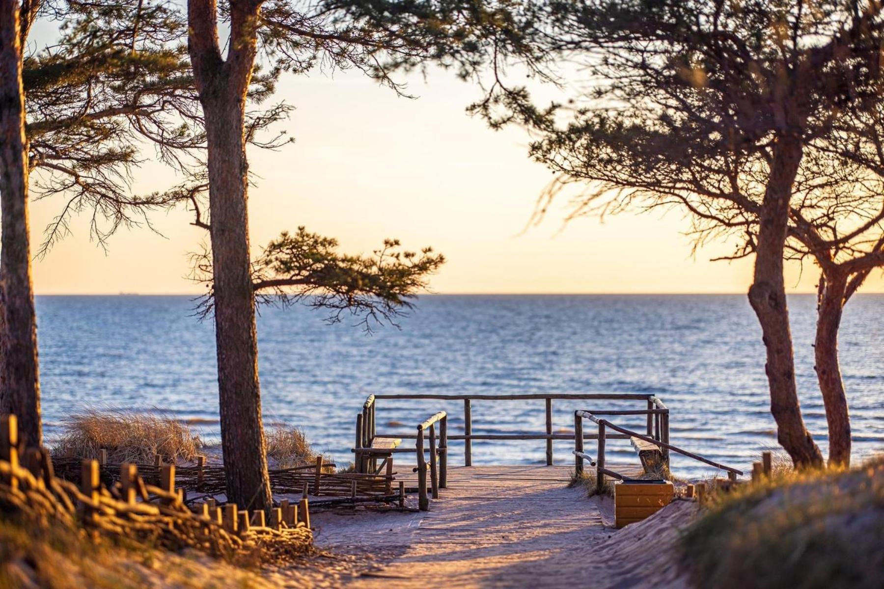 Zalia Kopa Apartments Palanga Buitenkant foto
