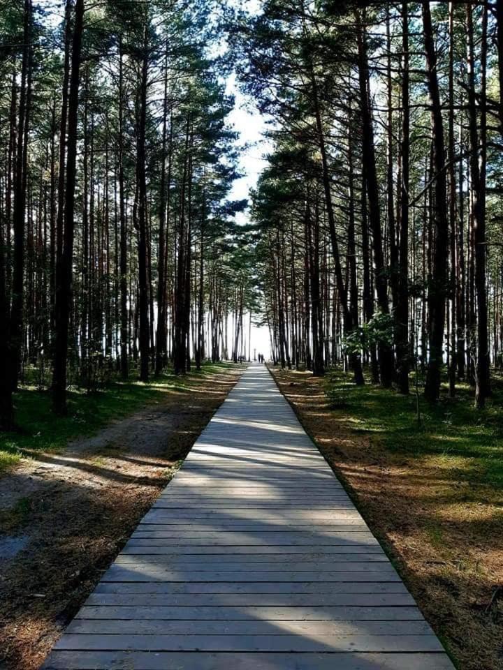 Zalia Kopa Apartments Palanga Buitenkant foto