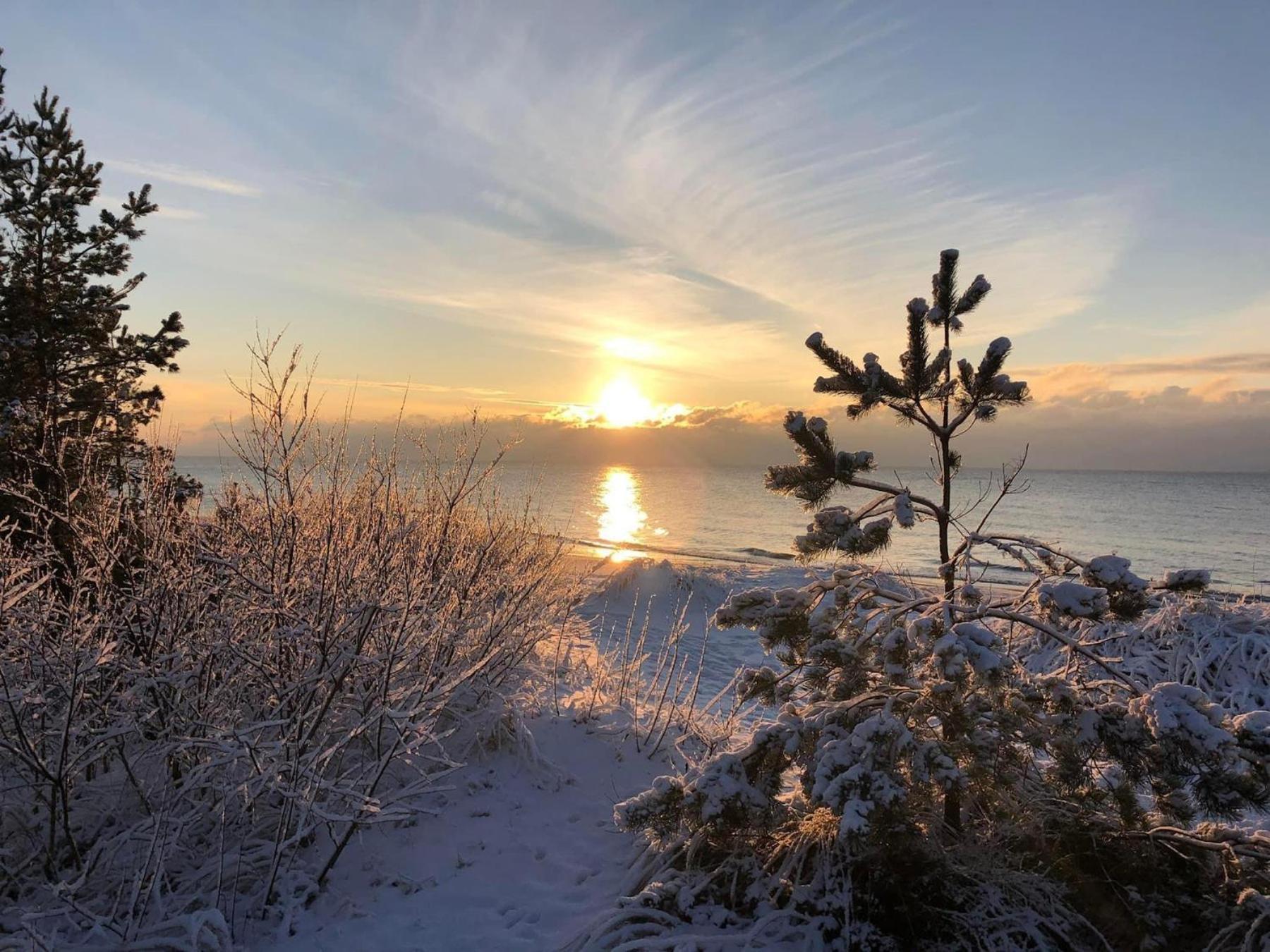 Zalia Kopa Apartments Palanga Buitenkant foto
