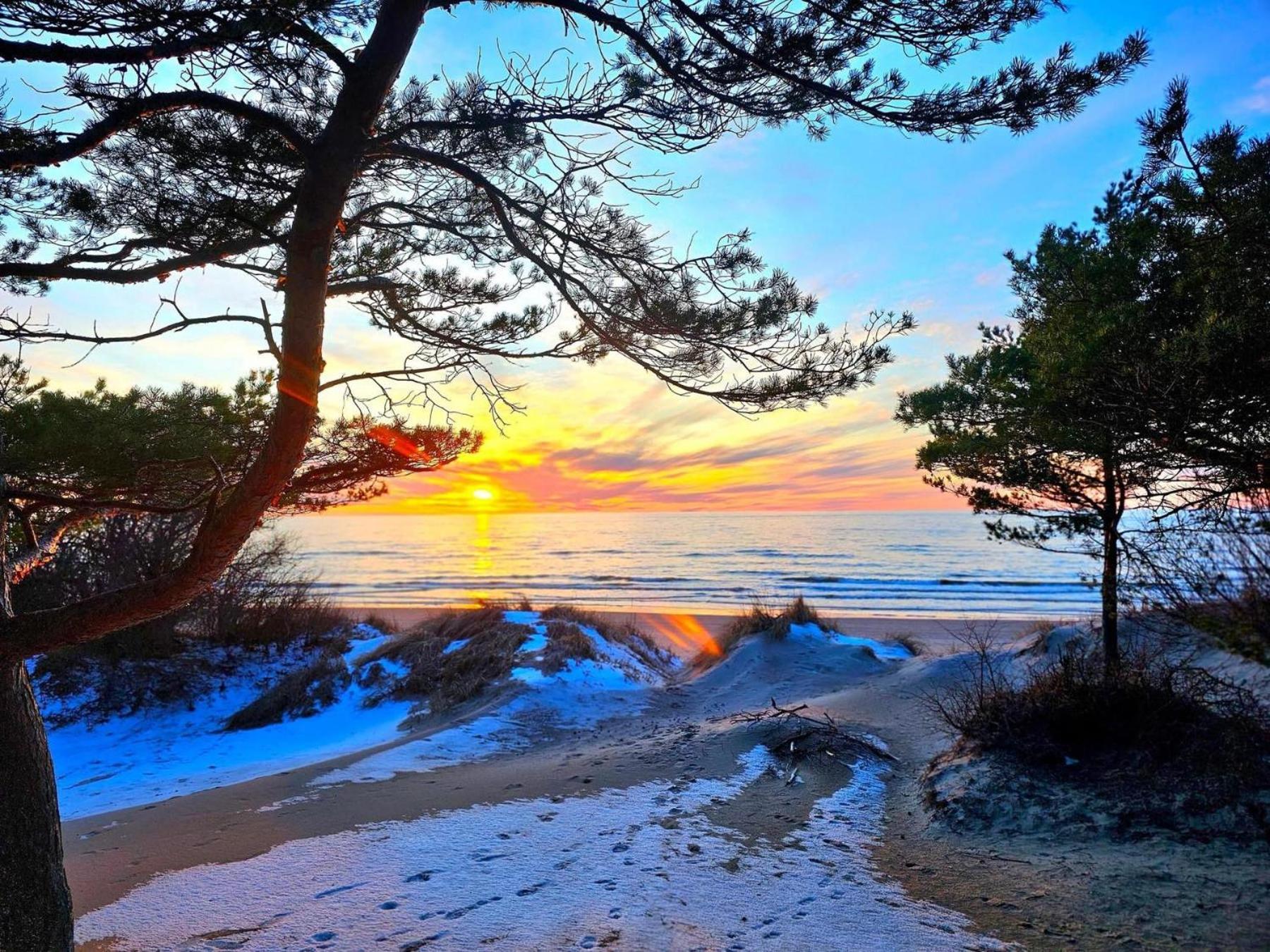 Zalia Kopa Apartments Palanga Buitenkant foto